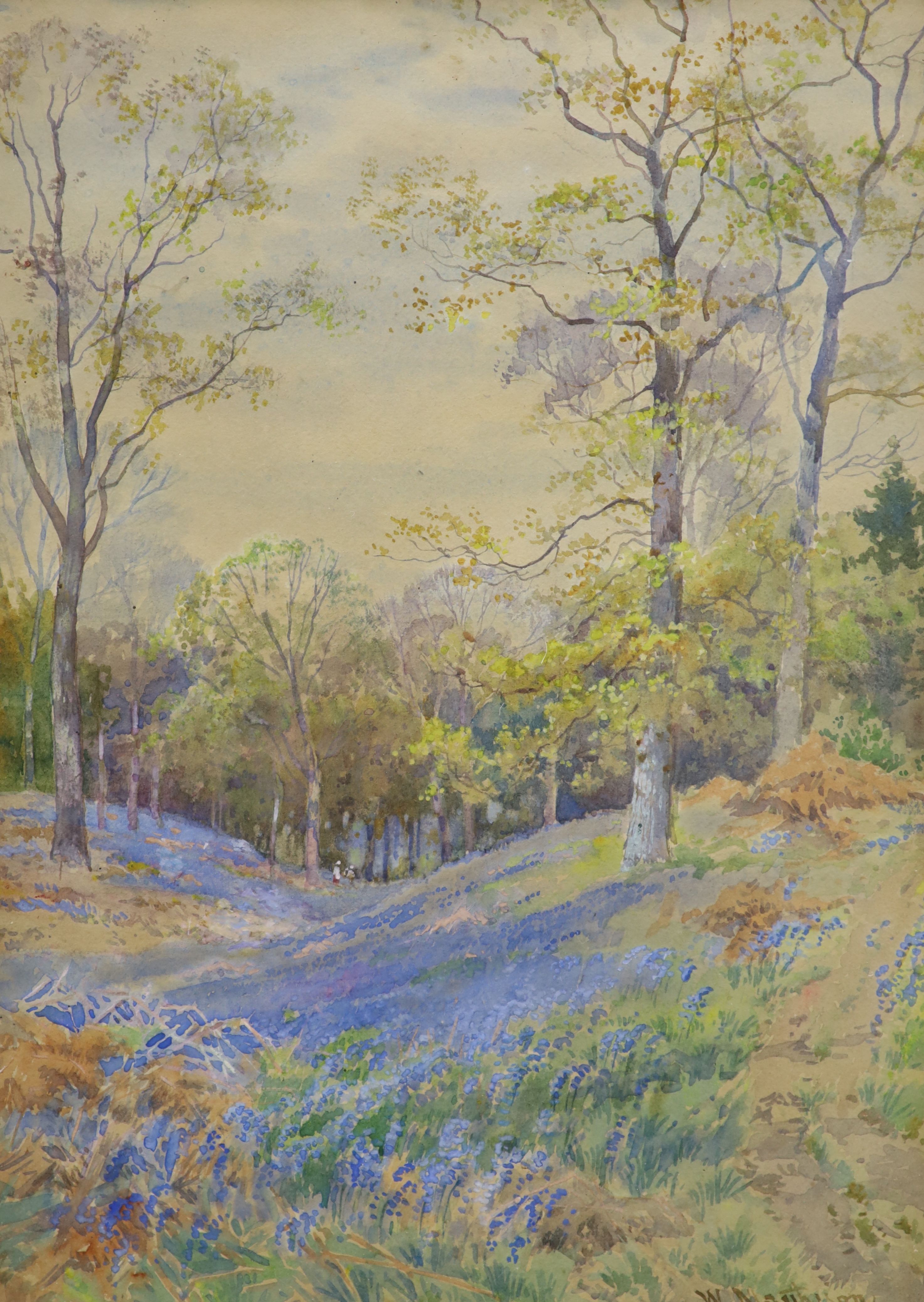 Graham Clarke (b. 1951), two pairs of signed limited edition coloured etchings and a watercolour of a bluebell wood by W. Marthieson